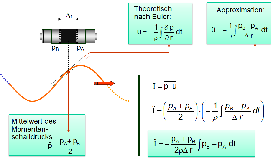 Intensity Euler and Approximation